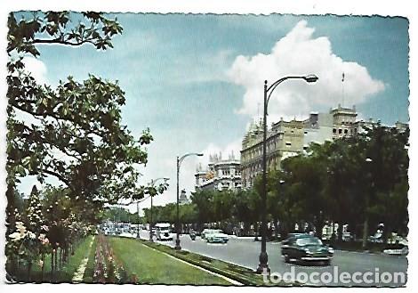 Postales: PASEO DEL PRADO / PRADO WALK.- MADRID - Foto 1