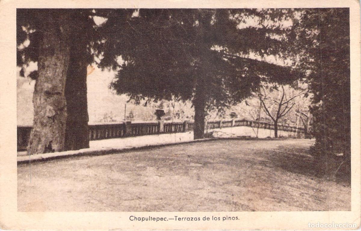 Postales: Postal de Cercedilla - Chapultepec Terrazas de los Pinos - Foto 1