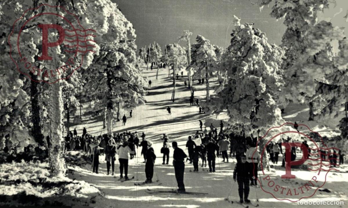 Postales: MADRID. PUERTO DE NAVACERRADA. - Foto 1