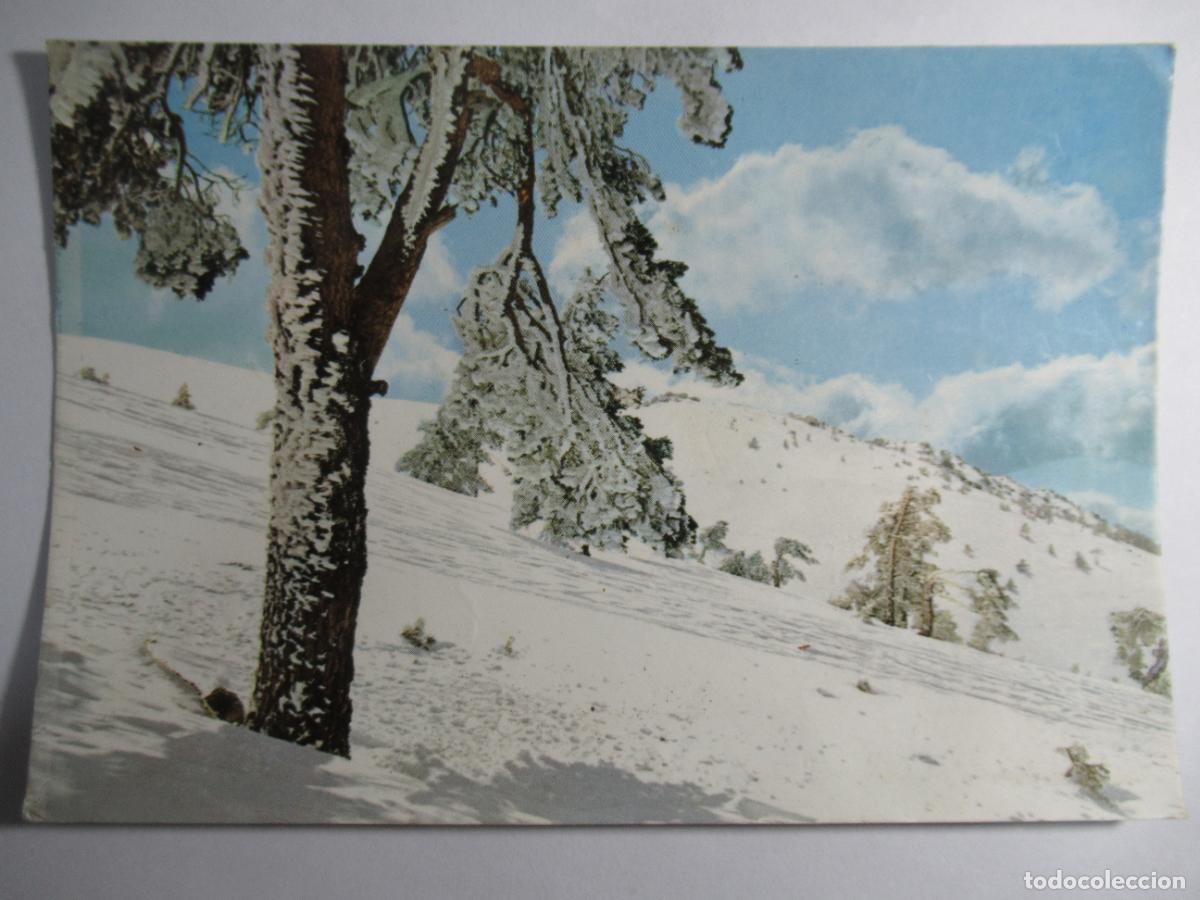 Postales: Puerto de Navacerrada (Madrid) - Paisaje Nevado - Circulada