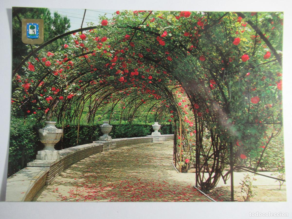 Postales: Madrid - Rosaleda del Parque del Oeste - S/C