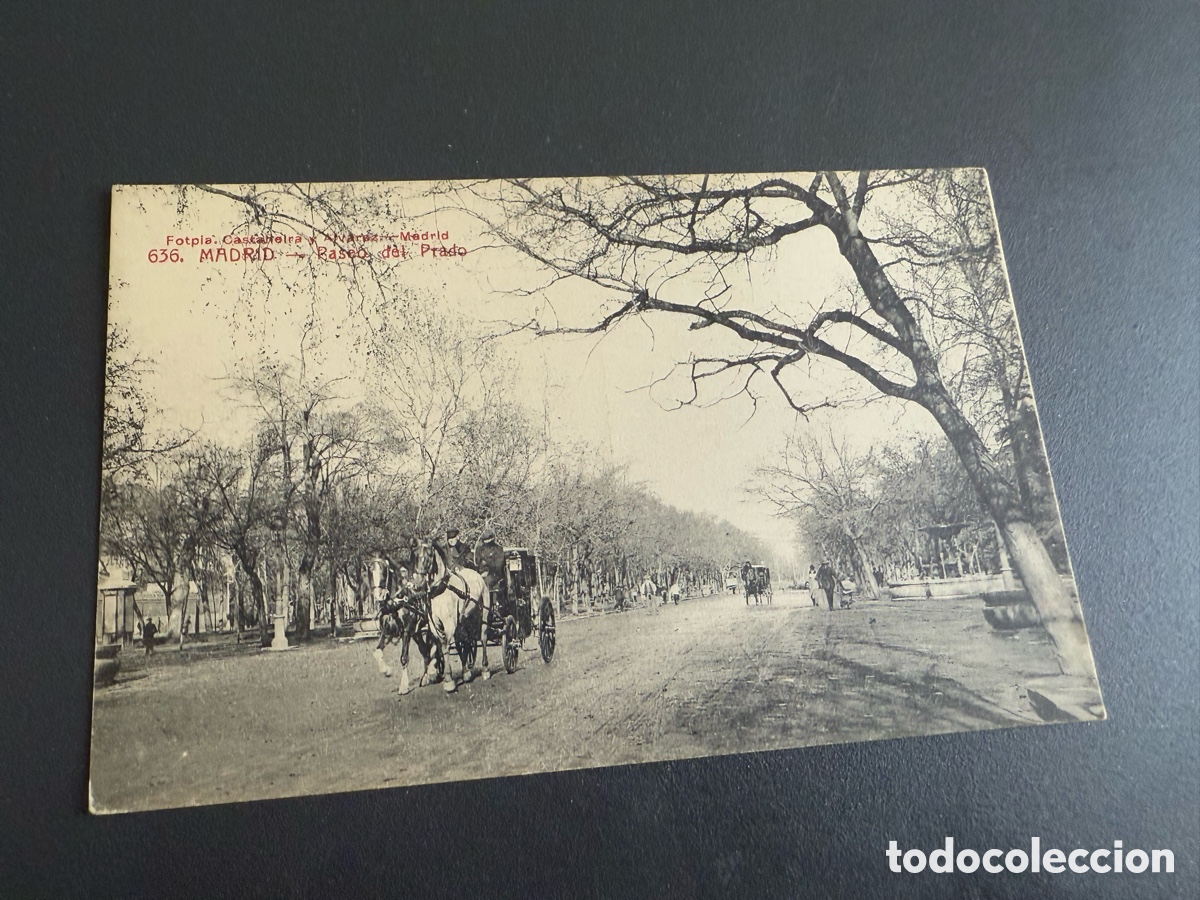 Postales: Postal MADRID. PASEO DEL PRADO. Fototipia. CASTA&Ntilde;EIRA
