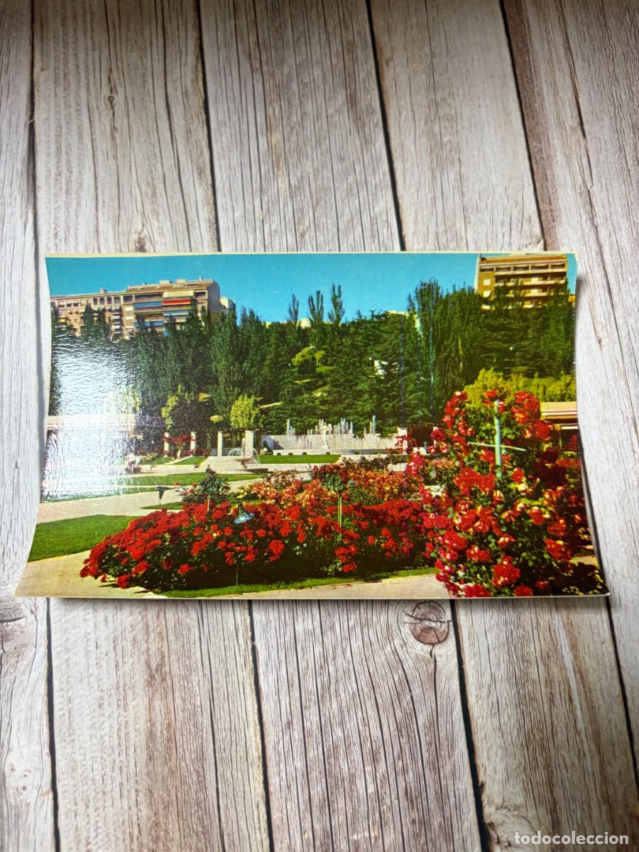 Postales: TARJETA POSTAL. MADRID. 34.- PARQUE DEL OESTE. ROSALEDA. F. MOLINA.