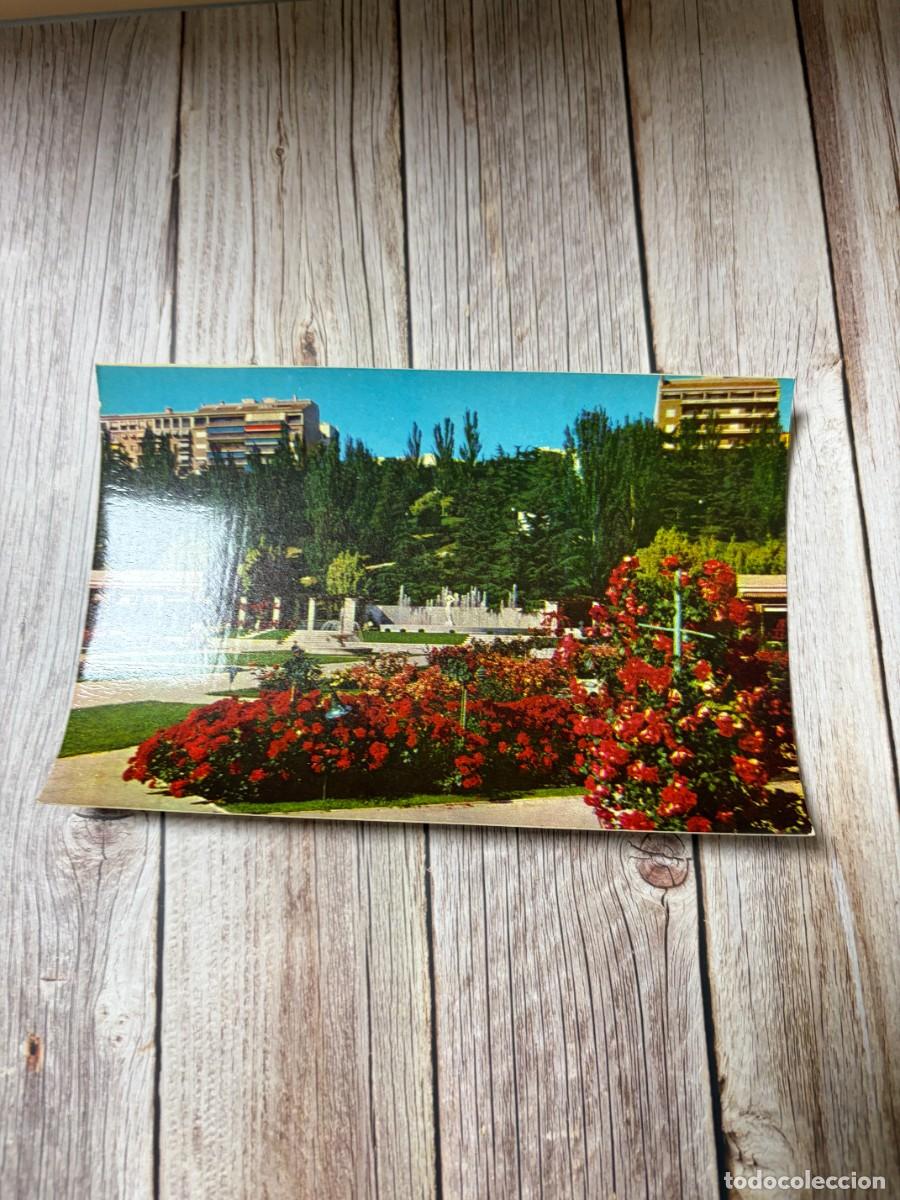 Postales: TARJETA POSTAL. MADRID. 34.- PARQUE DEL OESTE. ROSALEDA. F. MOLINA.