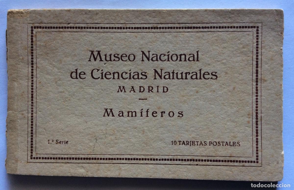 Postales: &Aacute;LBUM BLOC 10 POSTAL 1&ordf; SERIE KALLMEYER MUSEO NACIONAL CIENCIAS NATURALES MAM&Iacute;FEROS MADRID
