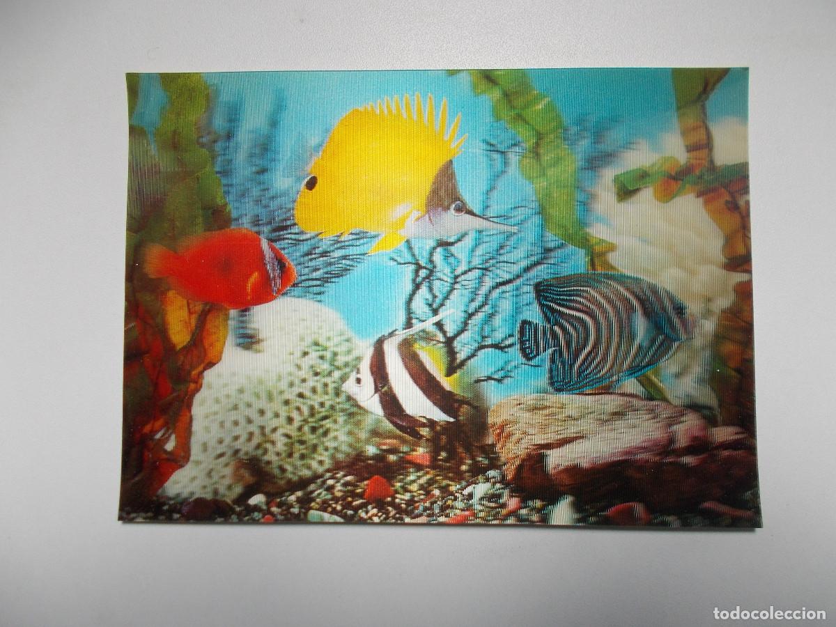 Postales: Postal lenticular Camargesa - Peces de colores