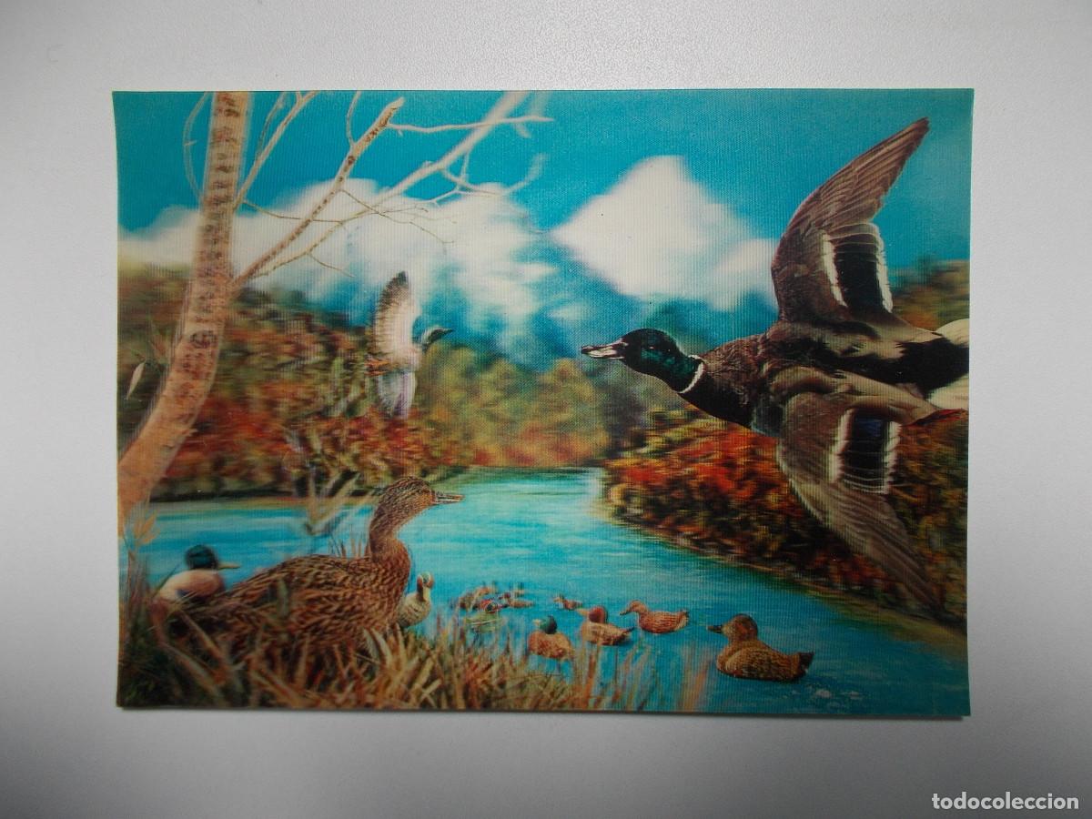 Postales: Postal lenticular Camargesa - &Aacute;nades reales