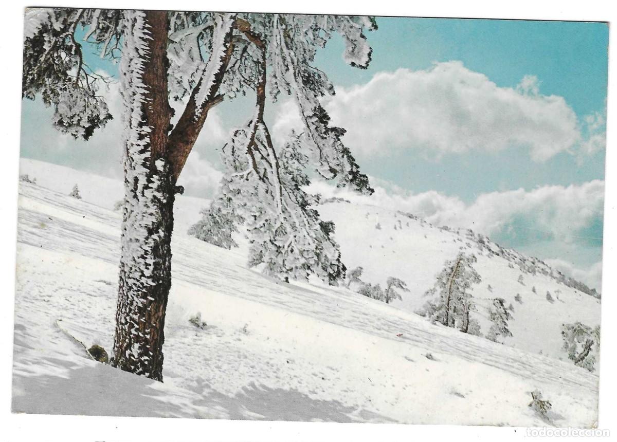 Postales: Postal Madrid. Puerto de Navacerrada. ref. 7-madrid119