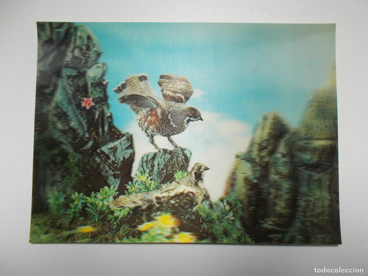 Postales: Postal lenticular Camargesa - Perdiz nival