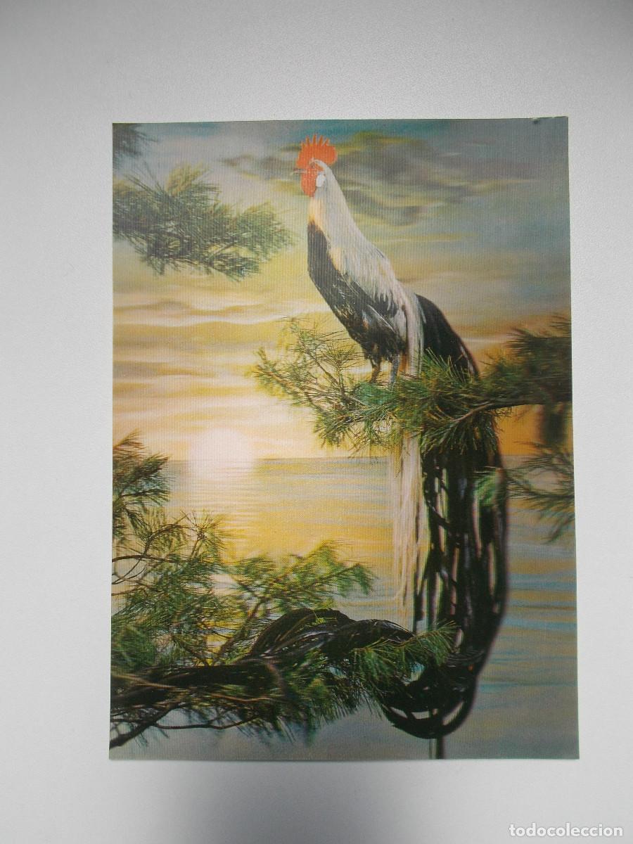 Postales: Postal lenticular Camargesa - Onagadori