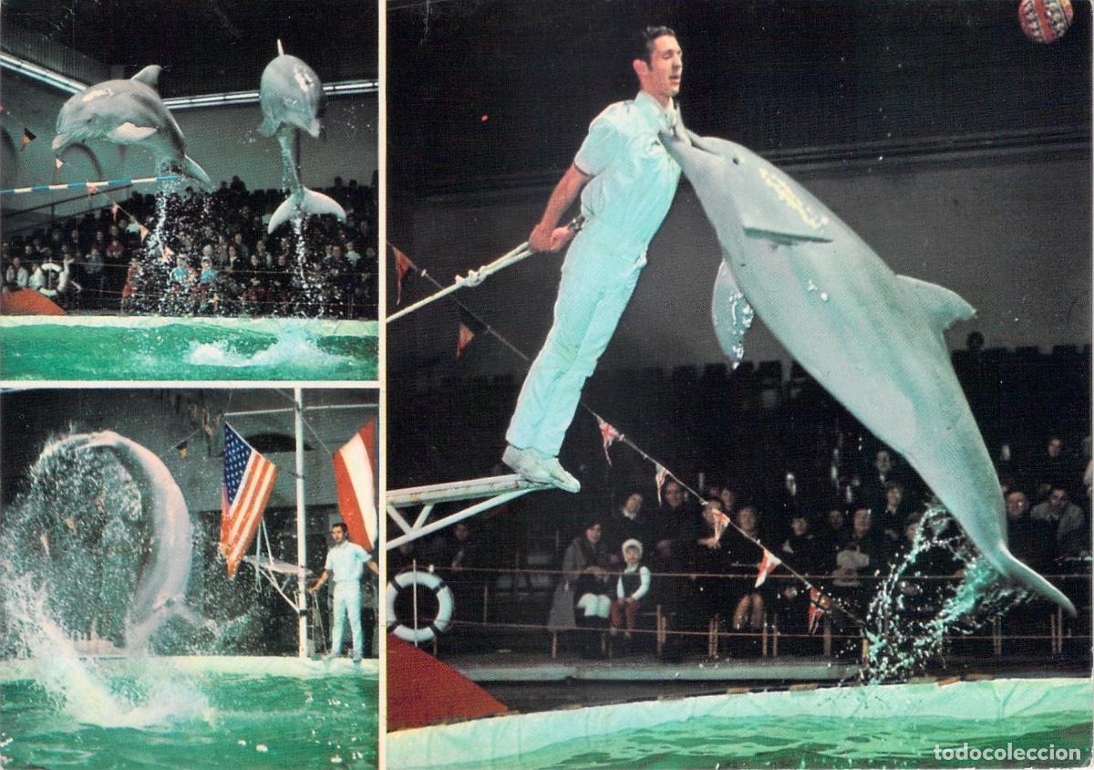 Postales: Postal del Espect&aacute;culo Florida Delphin Show Tourn&eacute;e por Espa&ntilde;a