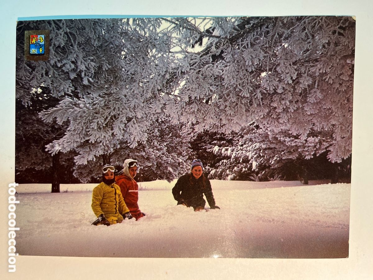 Postales: POSTAL. La Pinilla. Estaci&oacute;n de invierno. El pinar.