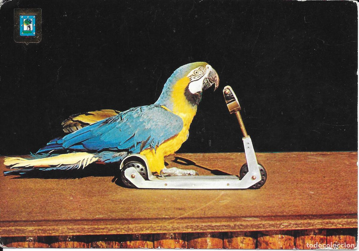 Postales: [POSTAL] Guacamayo azul. Club Papagayo. Zoo Casa de Campo. Madrid (sin circular)