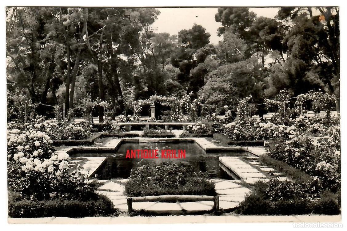 Postales: MADRID N&ordm; 15 PARQUE DEL RETIRO , LA ROSALEDA / EDICION DOMINGUEZ / SIN FRANQUEAR PERO ESCRITA