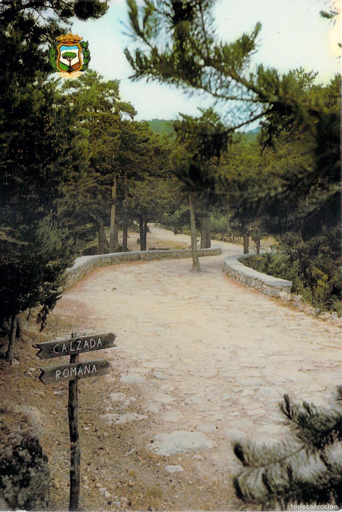 Postales: Postal de la Calzada Romana en Cercedilla, Madrid