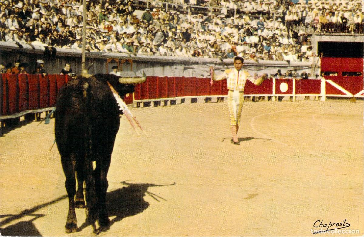 Postales: Postal Taurina - Suerte de Banderillas en la Plaza de Toros