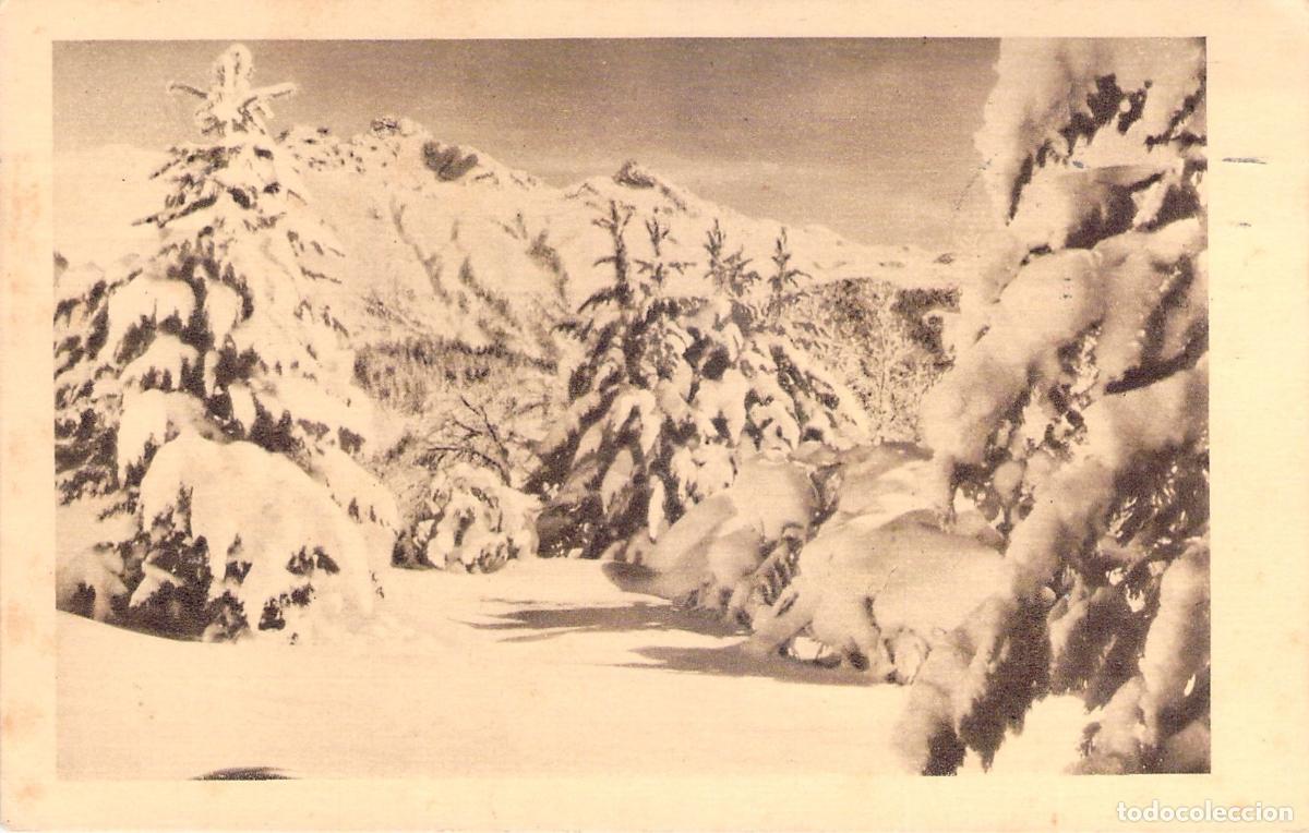 Postales: Postal de Navacerrada Nevada, Cercedilla, Madrid