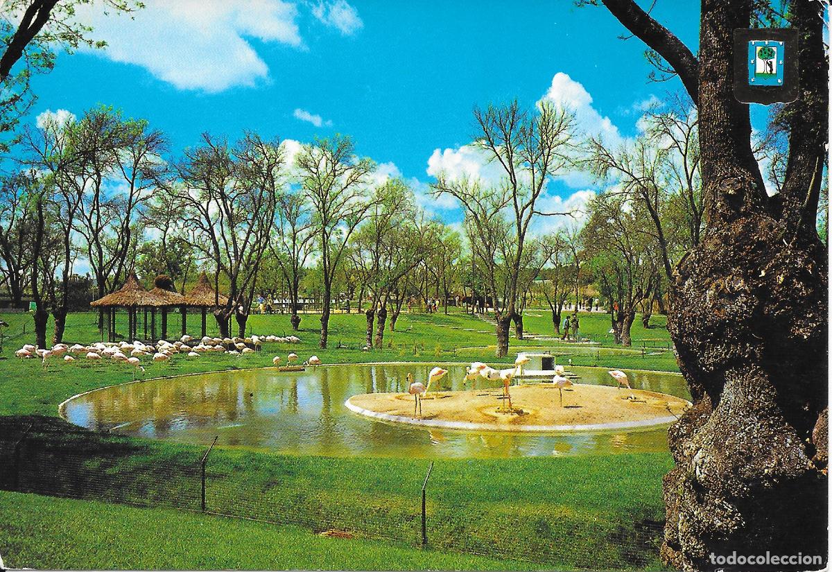 Postales: [POSTAL] Panor&aacute;mica con flamencos. Zoo Casa de campo. Madrid (sin circular)