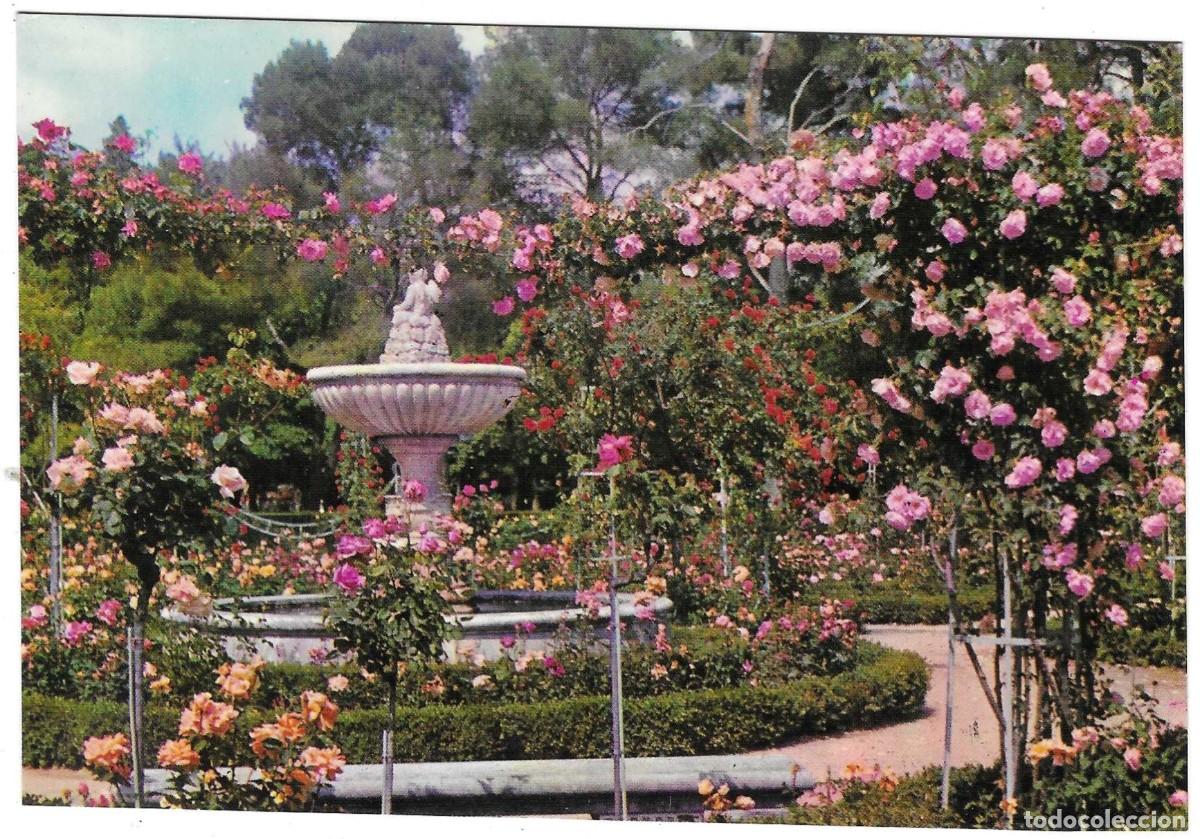Postales: Postal Madrid. Retiro. Rosaleda. ref. 7-madrid140