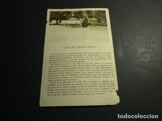 Postcards: MADRID EL AMIGO DE LOS PAJAROS POSTAL CON PUBLICIDAD ALMACENES SANTA BARBARA
