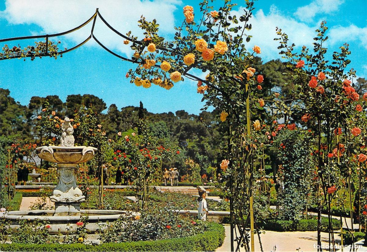 Postales: Postal de la Rosaleda en el Parque del Retiro de Madrid