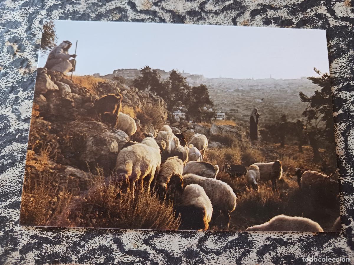 Postales: PASTORES DE BELEN. centro tierra santa, madrid, ED. CUSTODIA DE TIERRA SANTA