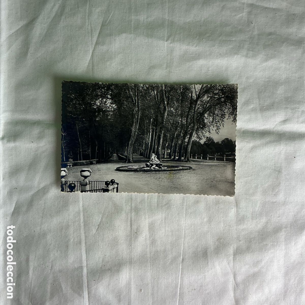 Postales: Postal Aranjuez Sal&oacute;n y Paseo de Isabel la Cat&oacute;lica Blanco y negro Original de la &eacute;poca 1962