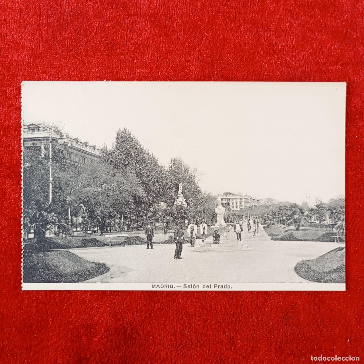 Postales: POSTAL - MADRID - SAL&Oacute;N DEL PRADO - FOT. LACOSTE - RAR&Iacute;SIMA / 2341