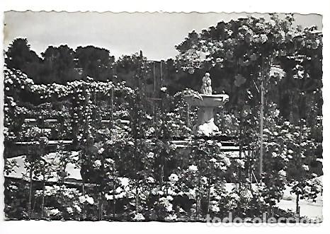Postales: ROSALEDA, PARQUE DEL RETIRO.- MADRID