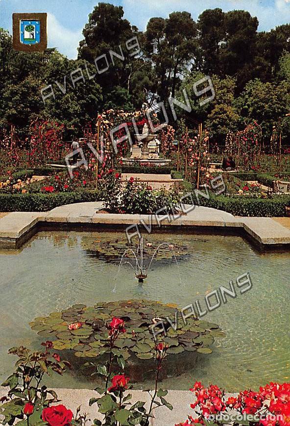 Postales: Rosaleda del parque del Retiro (Madrid) - Circulada con sello - 1976