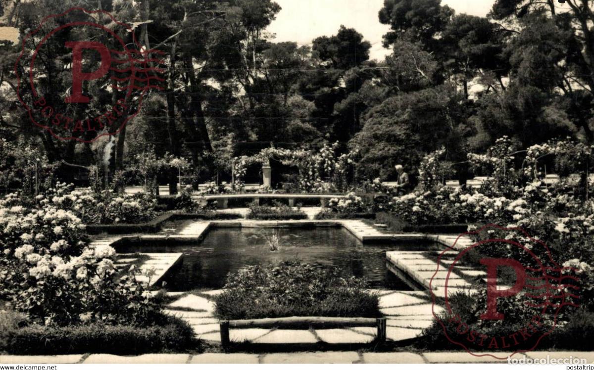 Postales: MADRID. PARQUE DEL RETIRO LA ROSALEDA
