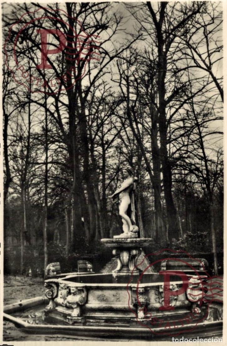 Postales: MADRID. ARANJUEZ FUENTE DE APOLO.