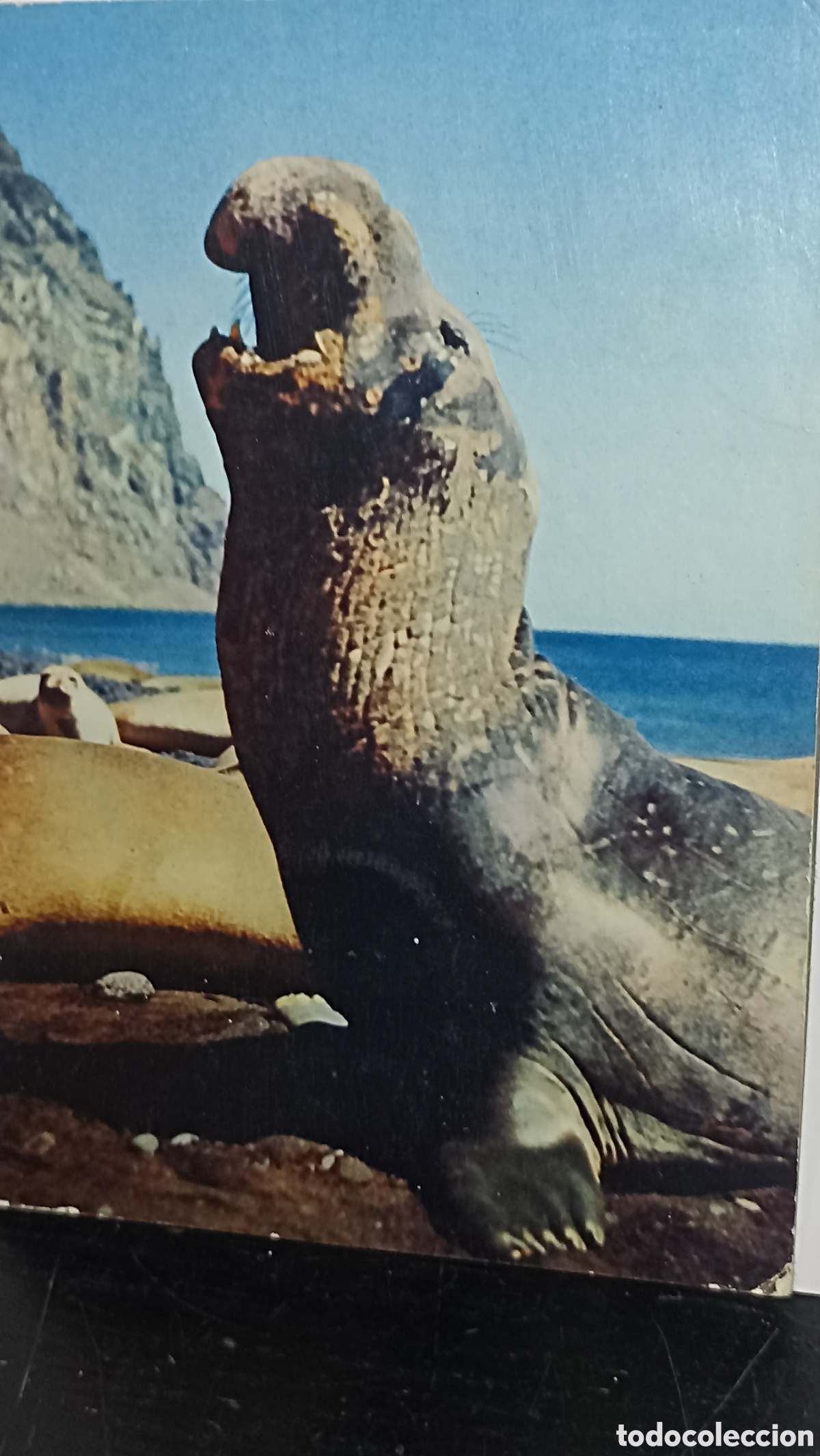 Postales: Precioso postal vintage a&ntilde;os 60 con promoci&oacute;n de laboratorio qu&iacute;mico