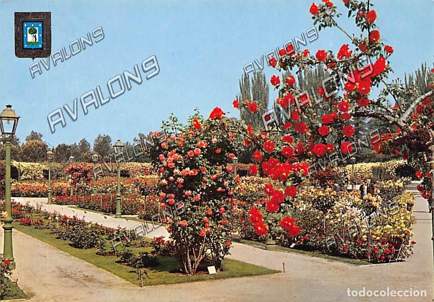 Postales: Parque del Oeste , Rosaleda (Madrid) - Sin Circular - A&ntilde;os 60