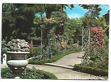 Postales: PARQUE DEL RETIRO, ROSALEDA - RETIRO PARK, ROSARY.- MADRID