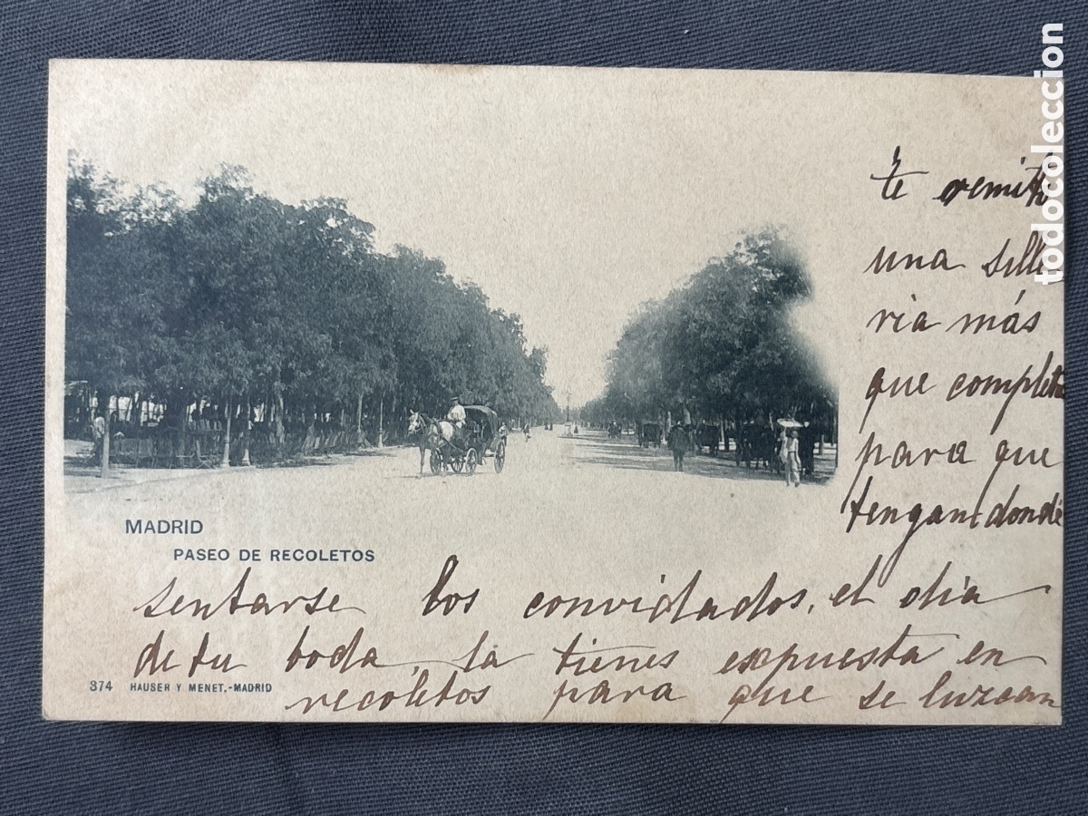 Postais: Madrid, Paseo de recoletos. Hauser y Menet 374