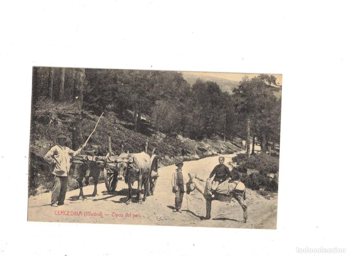 Postales: CERCEDILLA. TIPOS DEL PAIS - Foto 1