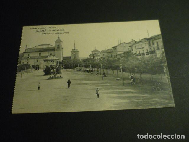 Postkarten: ALCALA DE HENARES MADRID PASEO DE CERVANTES