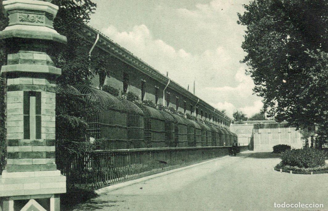 Postais: BONITA POSTAL - MADRID - PARQUE DEL RETIRO - CASA DE FIERAS - GRAFOS