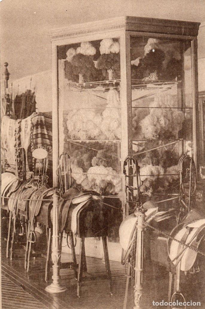 Postales: BONITA POSTAL - MADRID - PALACIO REAL - GUADARNES - SILLAS - PENACHOS Y REJONCILLOS - GRAFOS
