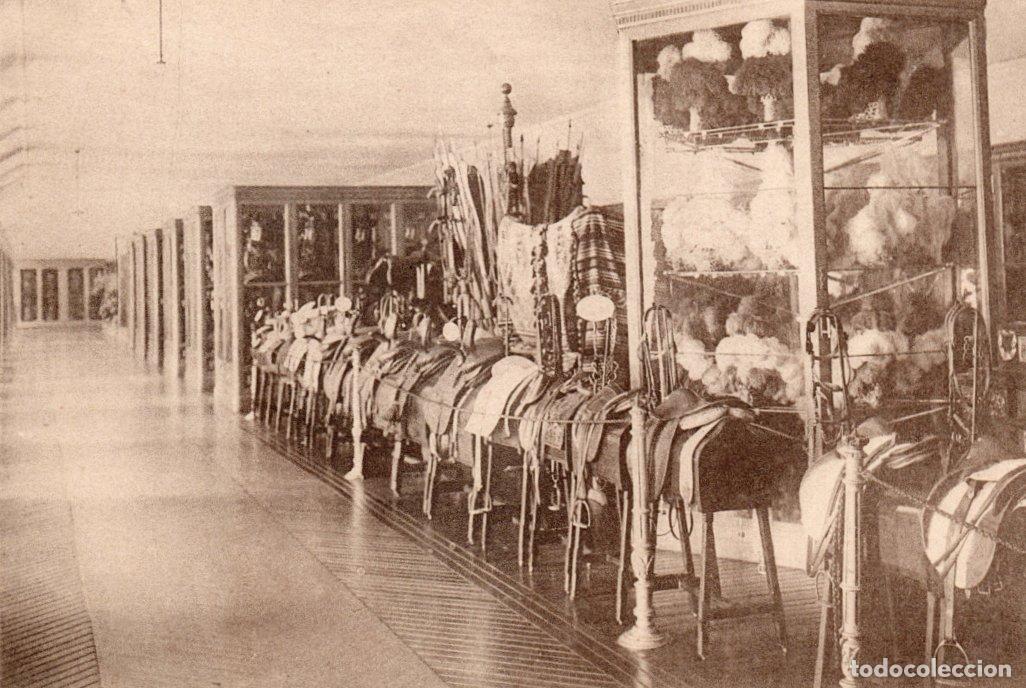 Postales: BONITA POSTAL - MADRID - PALACIO REAL - GUADARNES. SILLAS DE MONTAR DE S.M.EL REY D.ALFONSO XII