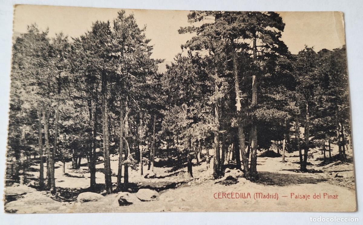 Postales: CERCEDILLA (MADRID) - POSTAL MUY ANTIGUA MANUSCRITA EN 1918 - PAISAJE DEL PINAR