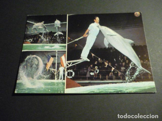 Postales: MADRID FLORIDA DELFIN SHOW - Foto 1