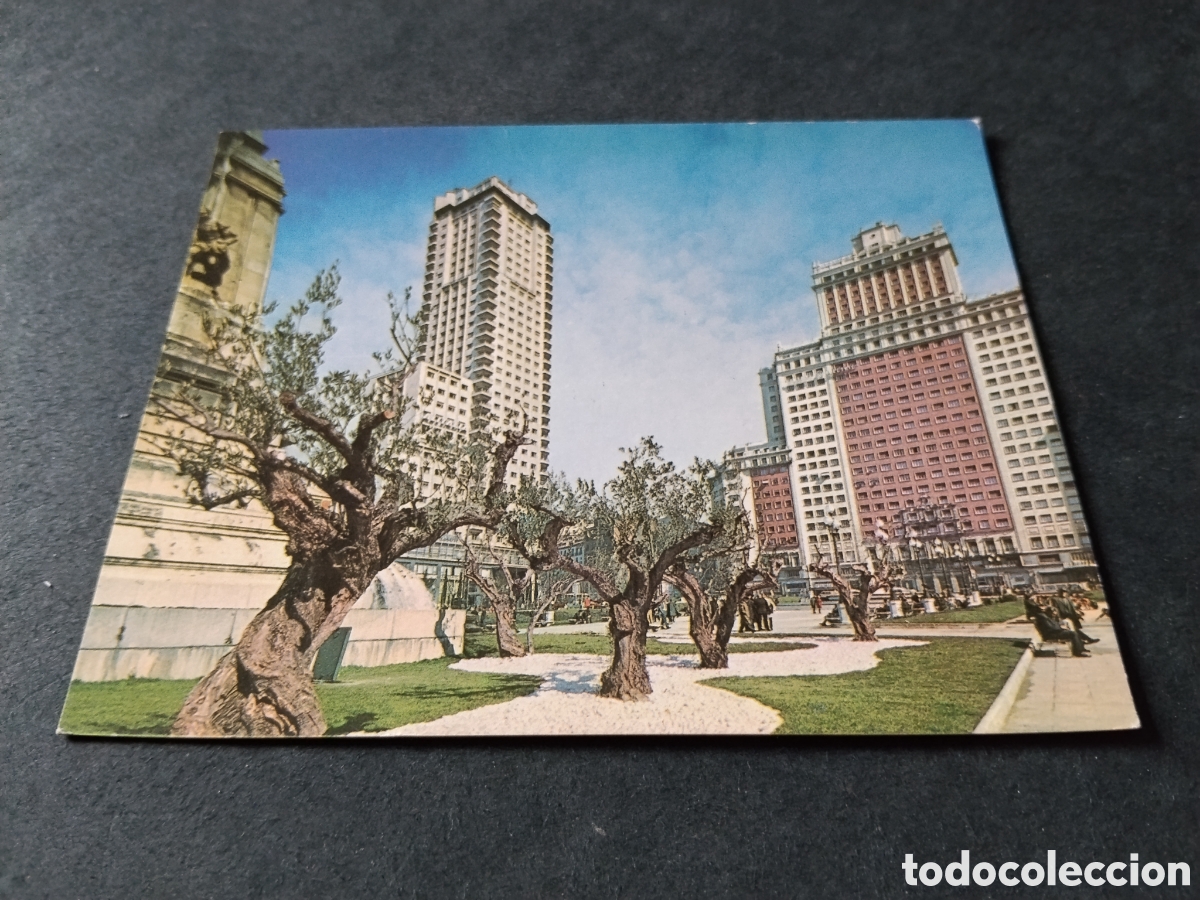 Postales: Postal aceite de oliva, Madrid