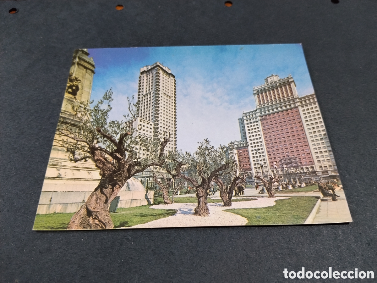 Postales: Postal aceite de oliva, olivos Madrid