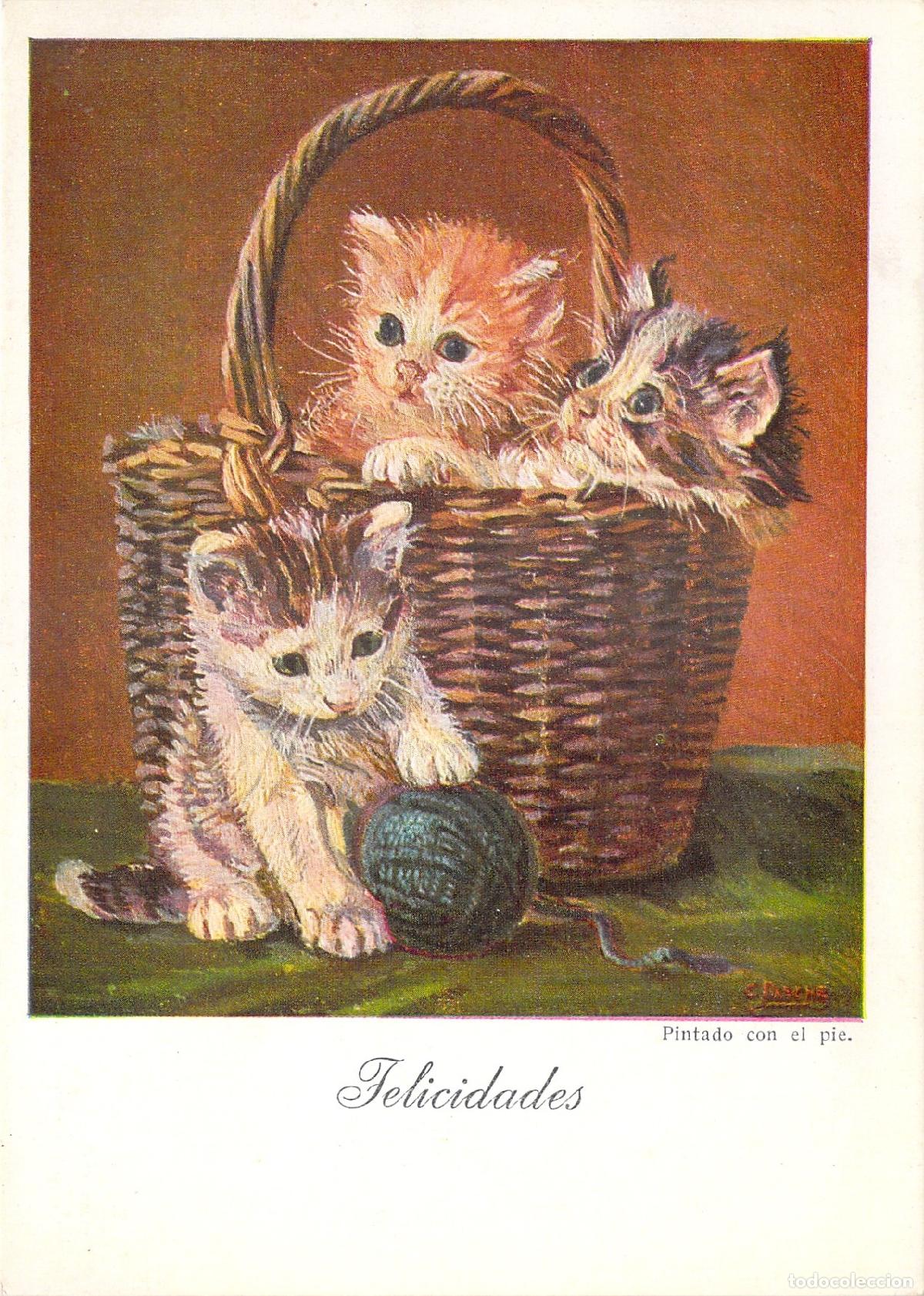 Postales: Postal con Ilustraci&oacute;n de Gatitos en Cesta por Carlos Pasche