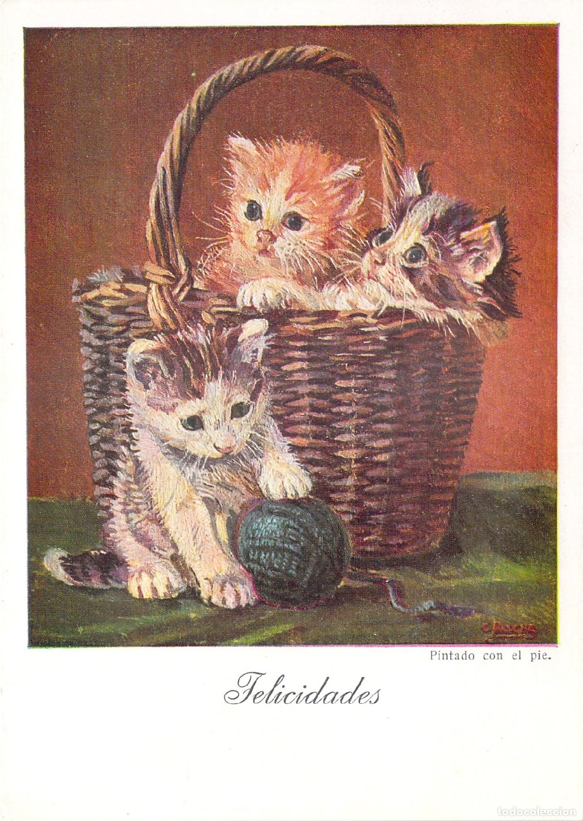 Postales: Postal con ilustraci&oacute;n de tres gatitos en una cesta por Carlos Pasche