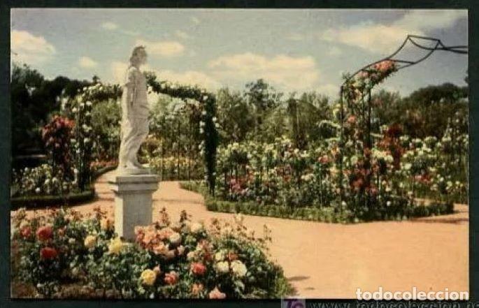 Postais: Madrid.  El Retiro, la rosaleda.  Edt. Mayfe n&ordm; 19.  Nueva.