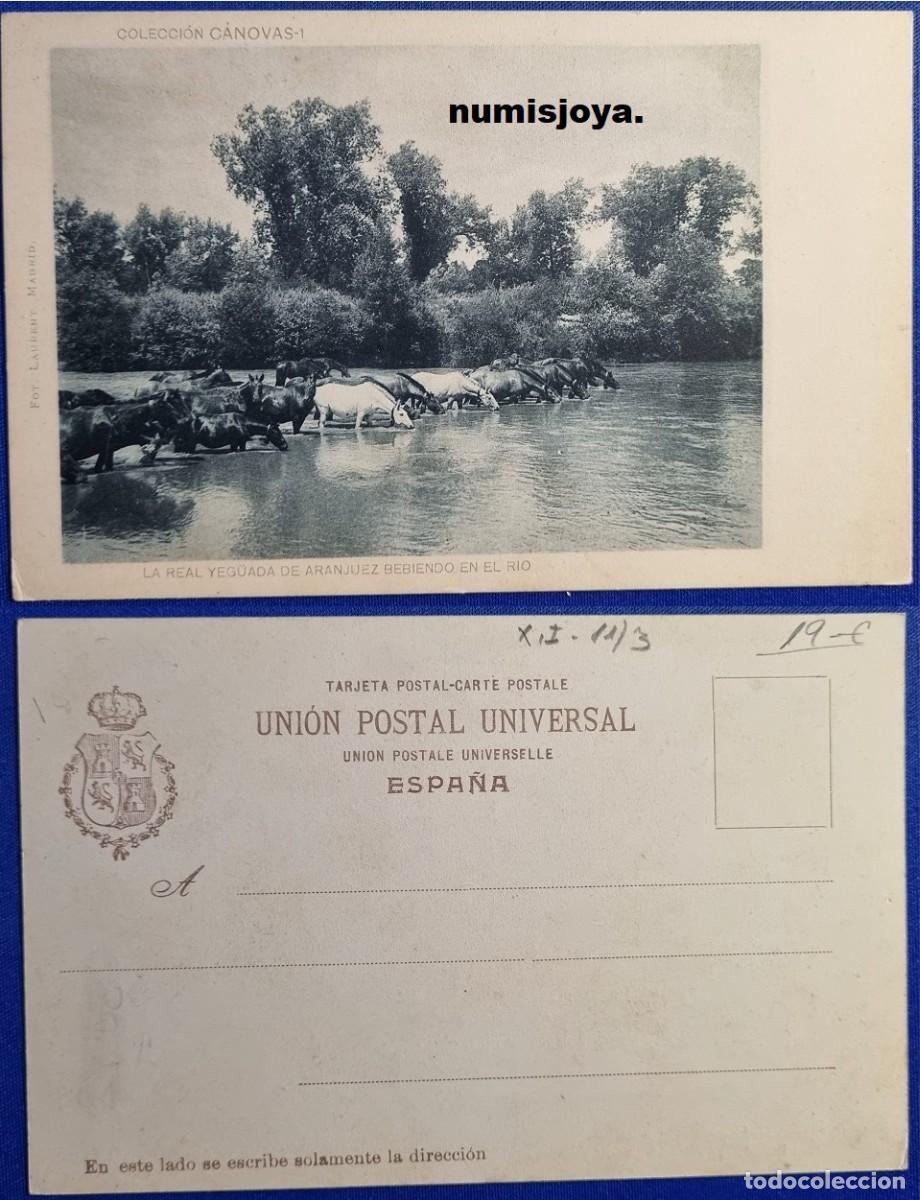 Postales: Postal de Aranjuez Madrid Espa&ntilde;a a&ntilde;o 1900 La Real Yeguada bebiendo. Sin dividir. Fot. LAURENT.