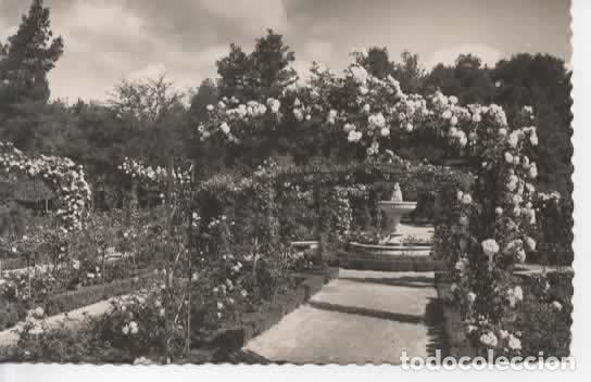 Postales: MADRID ESCRITA ROSALEDA DEL RETIRO - Foto 1
